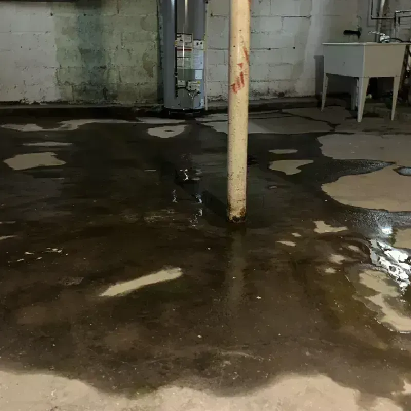 Emergency Water Extraction And Removal in Central Square, NY